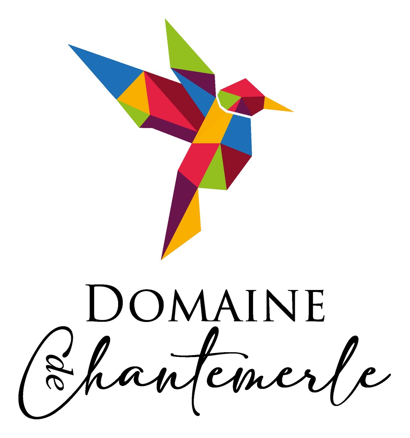 logo-domaine-de-chantemerle-tremont-49