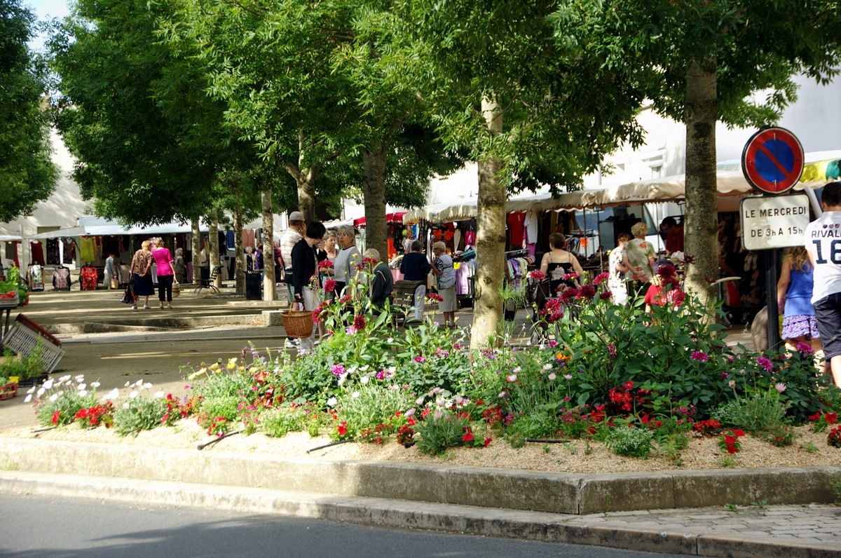 marche-may-sur-evre-49