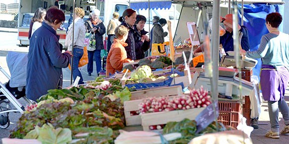 marche-puy-saint-bonnet-49