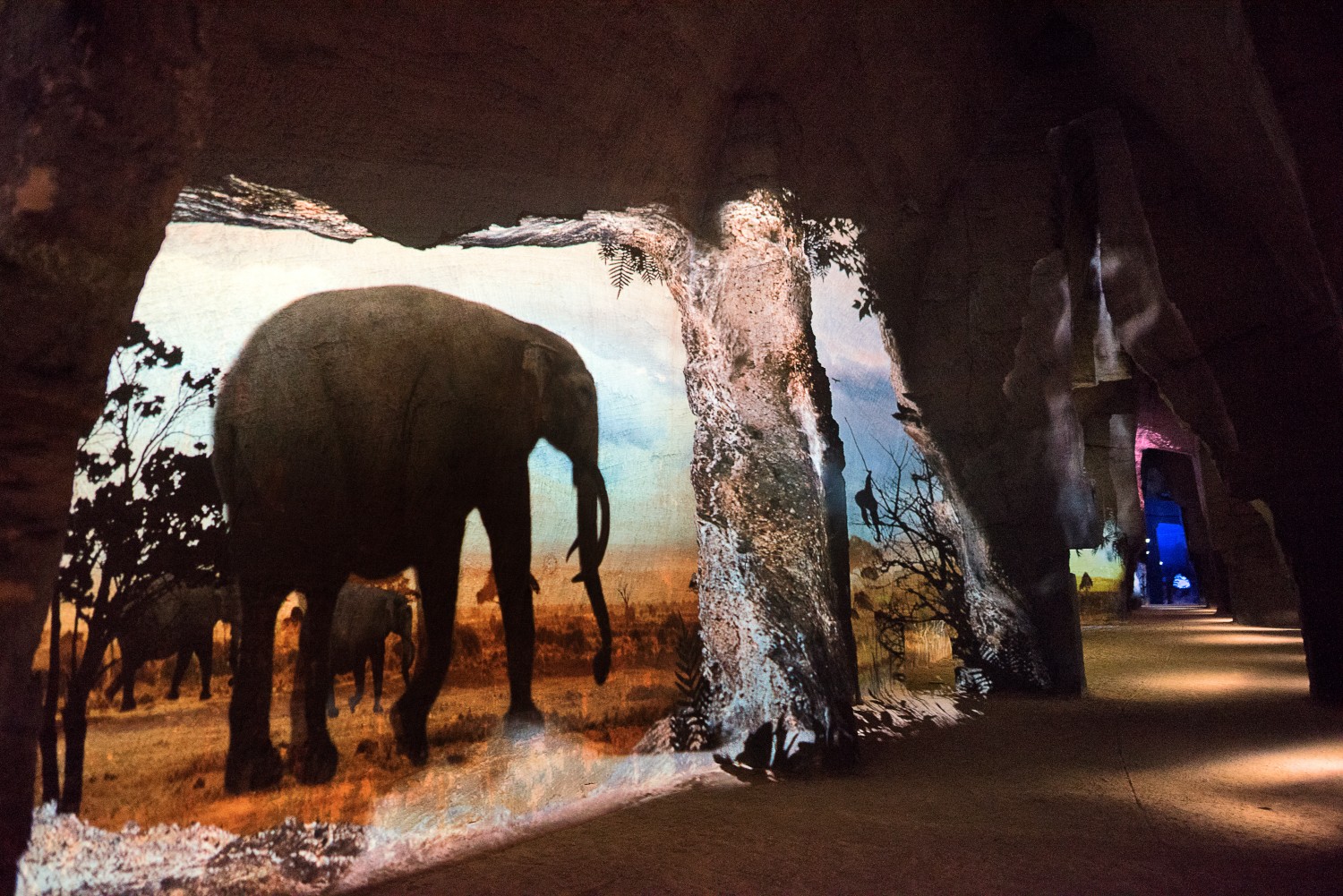 Cholet Tourisme Le Mystère des Faluns Doué la Fontaine 49