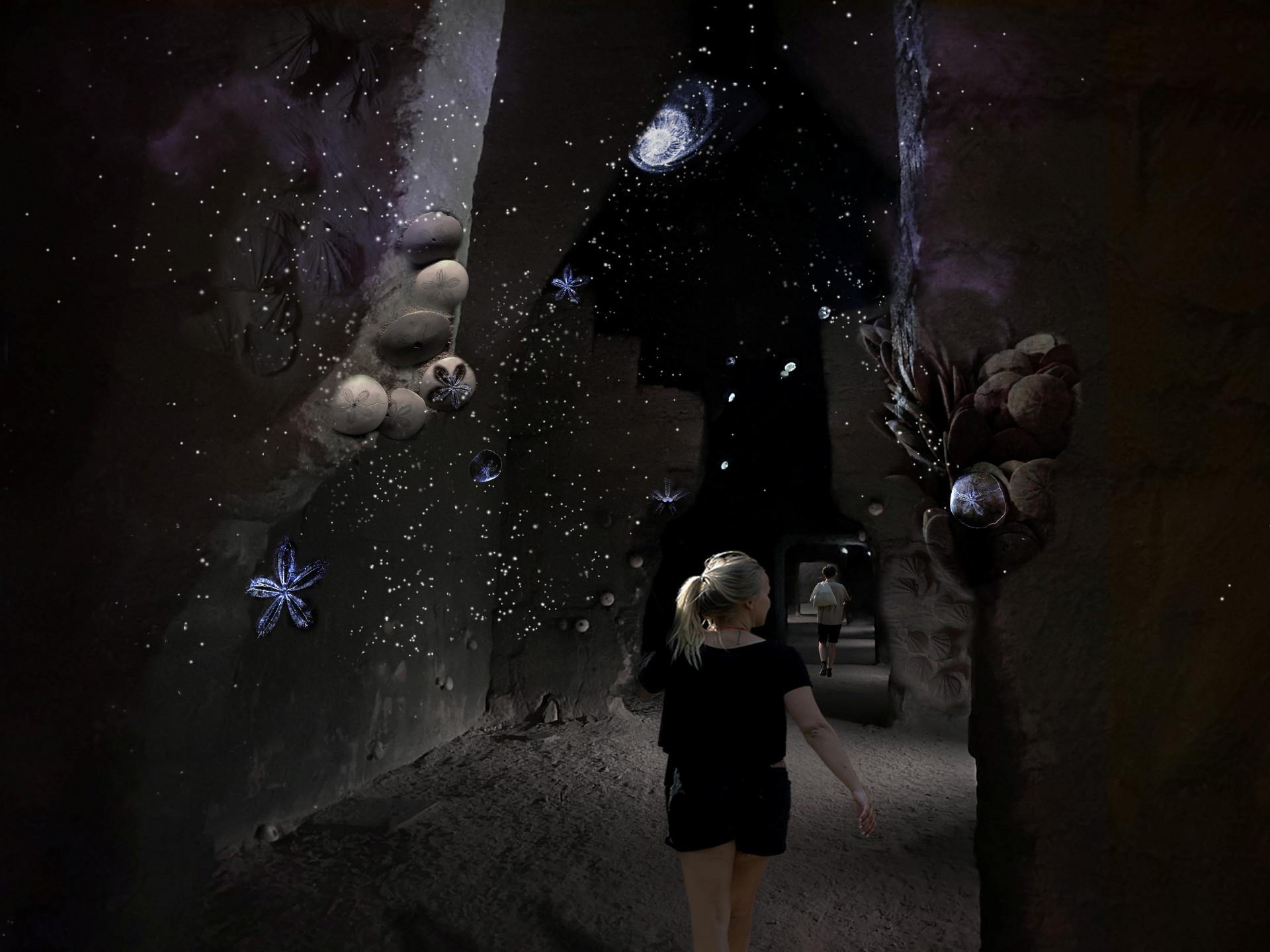 Nouveauté 2026. L'envol des Fossiles. Visuel du projet Lucie Lom Nouveauté 2026. L'envol des Fossiles. Visuel du projet Lucie Lom