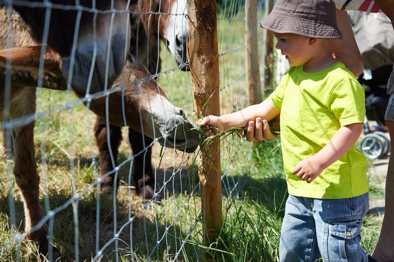 Cholet tourisme parc du menhir nature famille enfants