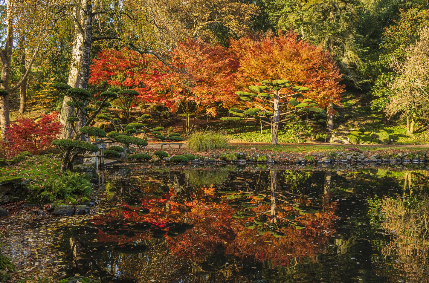 Parc Oriental de Maulévrier