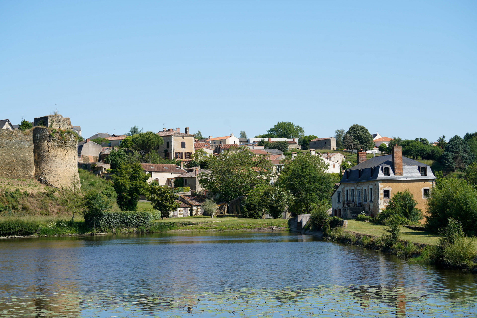 passavant-sur-layon-2020-49-c-david-andr-8-2852332