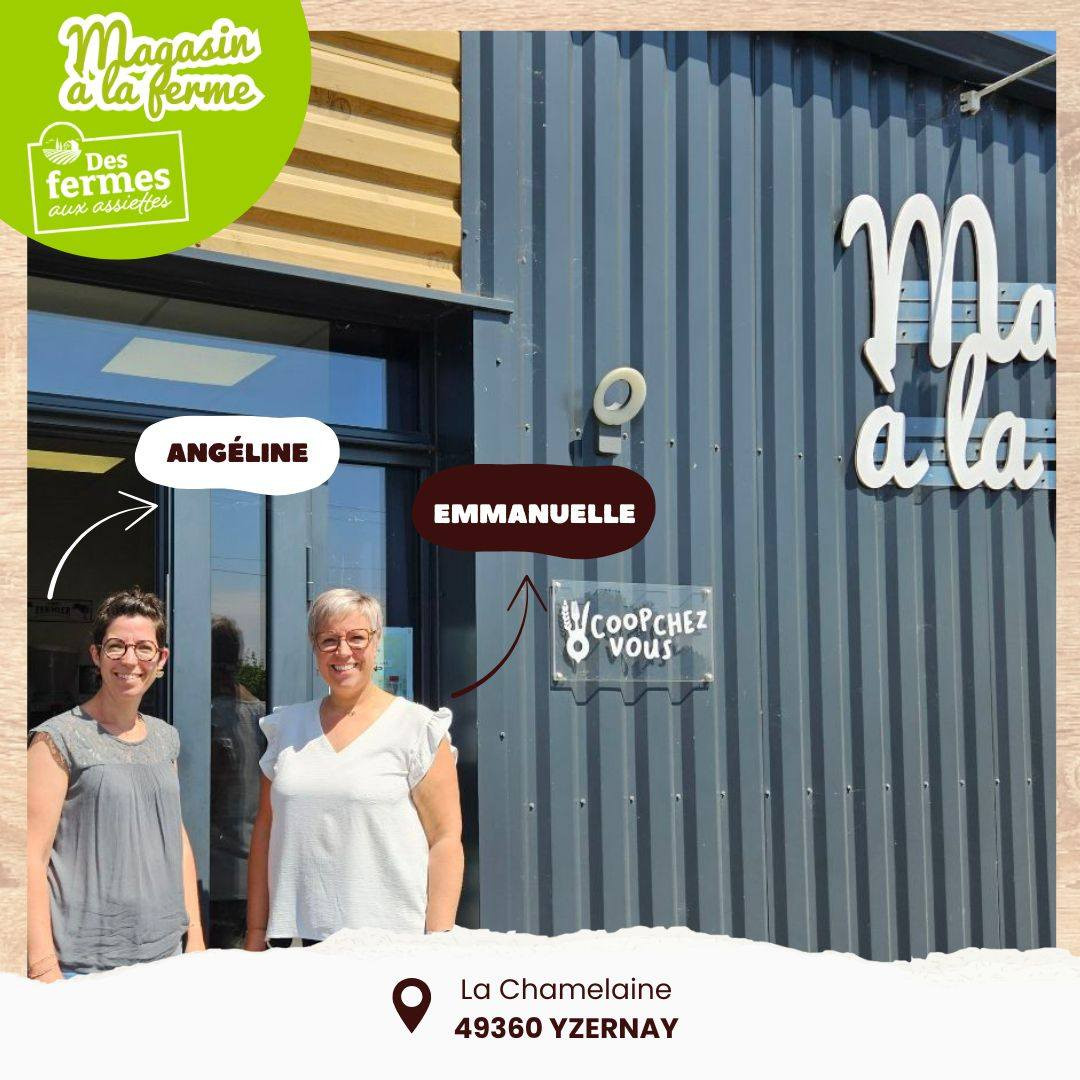 photos-echoppe-2854577 photos-echoppe-2854577