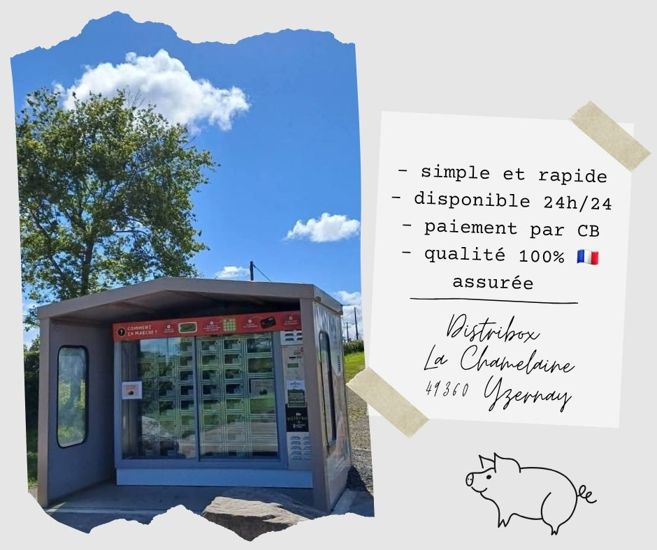 photos-echoppe4-2854575 photos-echoppe4-2854575