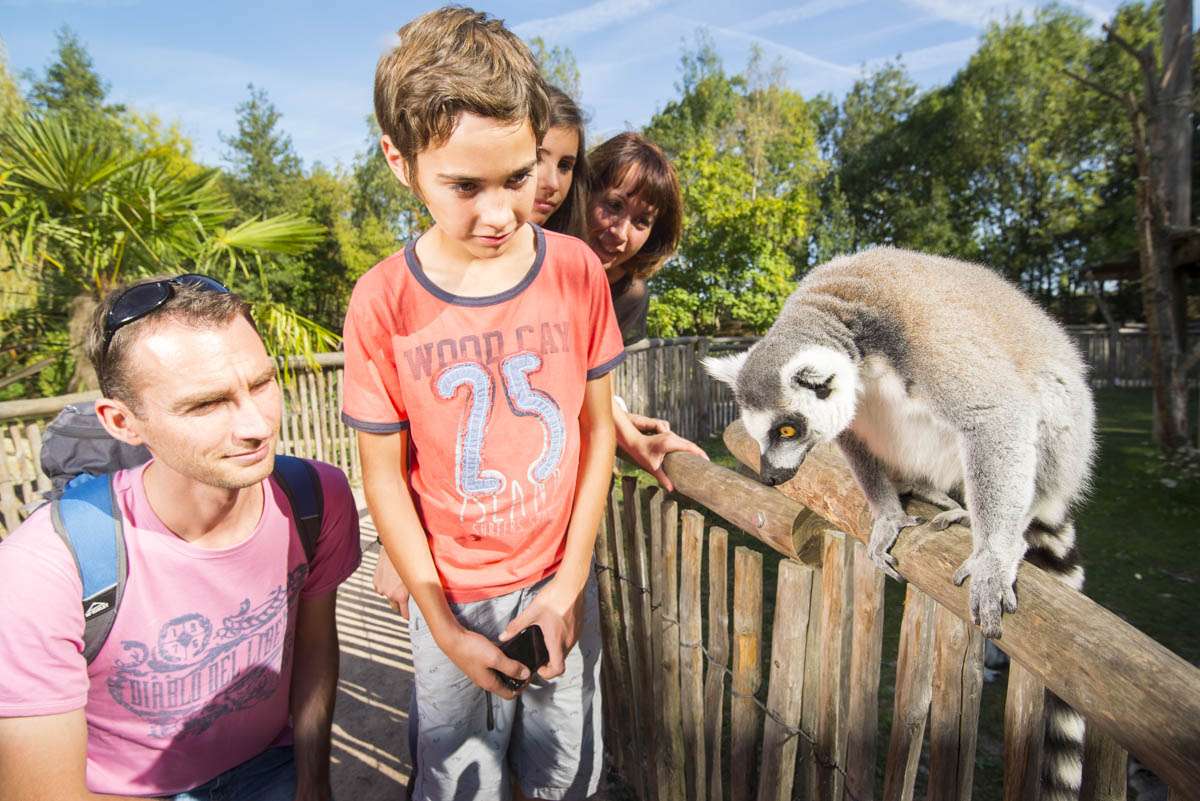 Cholet tourisme nature parc animalier zoo planète sauvage safari africain