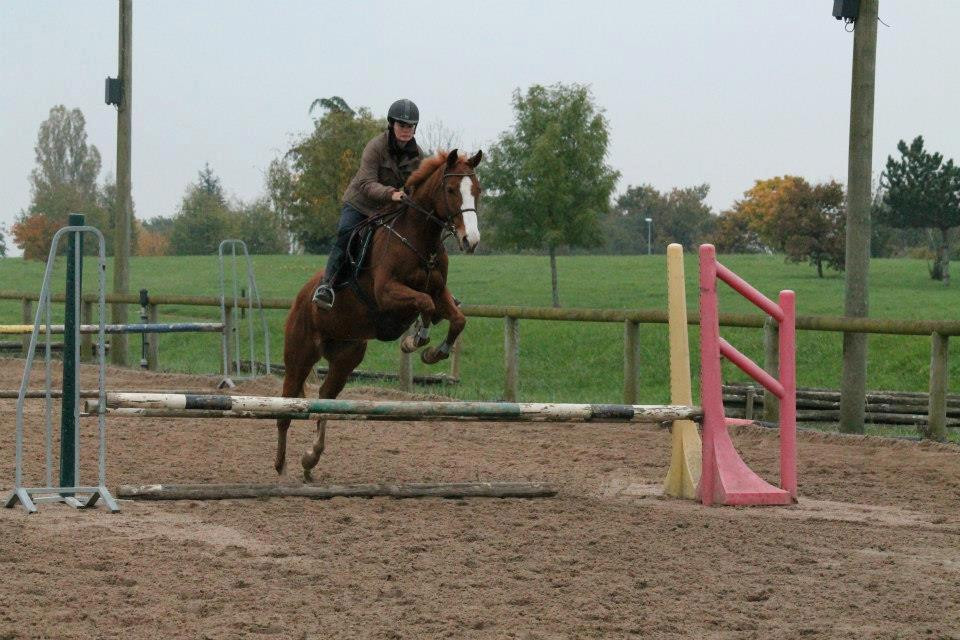 poney-club-de-la-grande-vigniere-cholet-49 poney-club-de-la-grande-vigniere-cholet-49