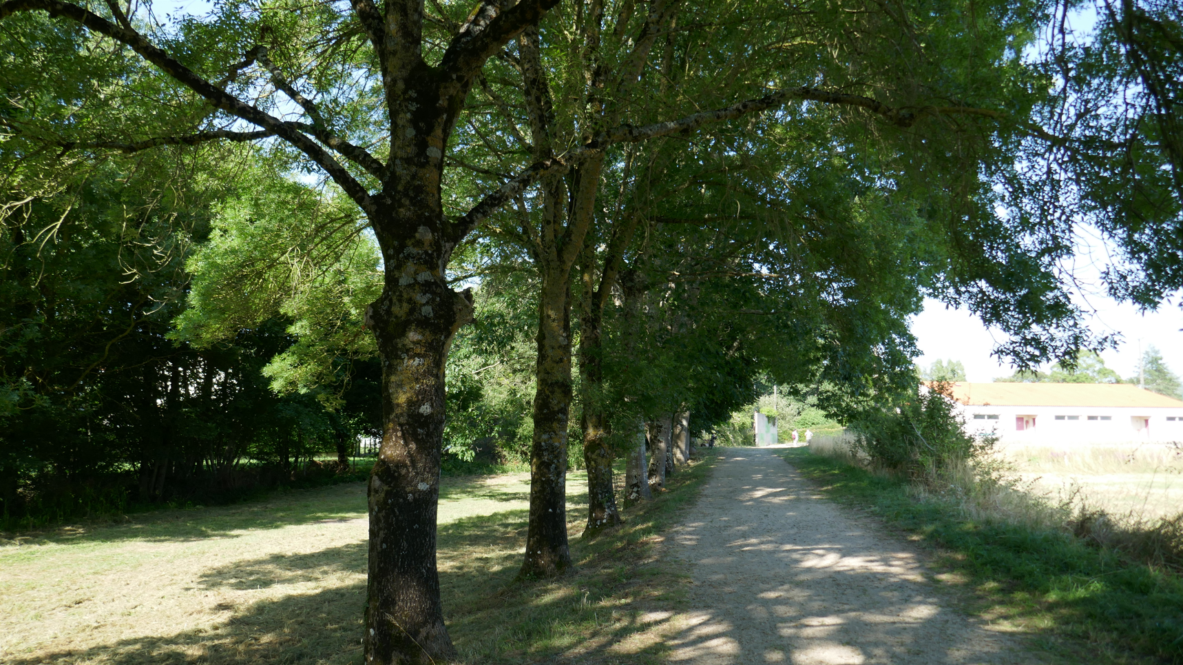 Promenons-nous à Toutlemonde