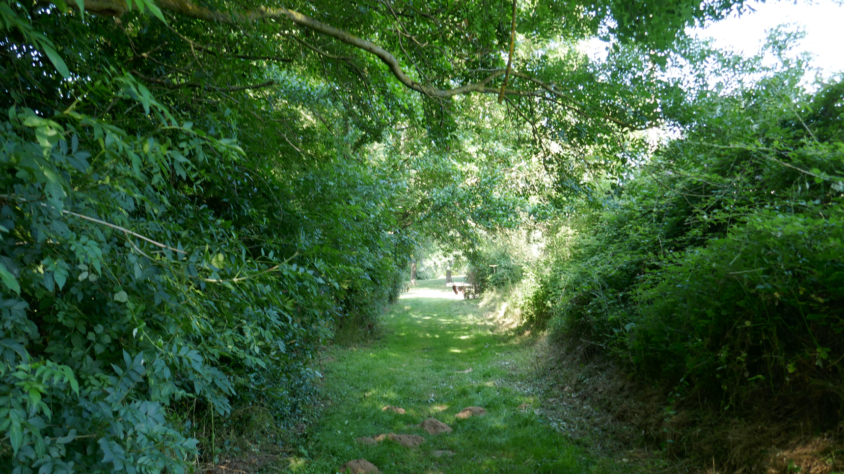 Promenons-nous à Toutlemonde