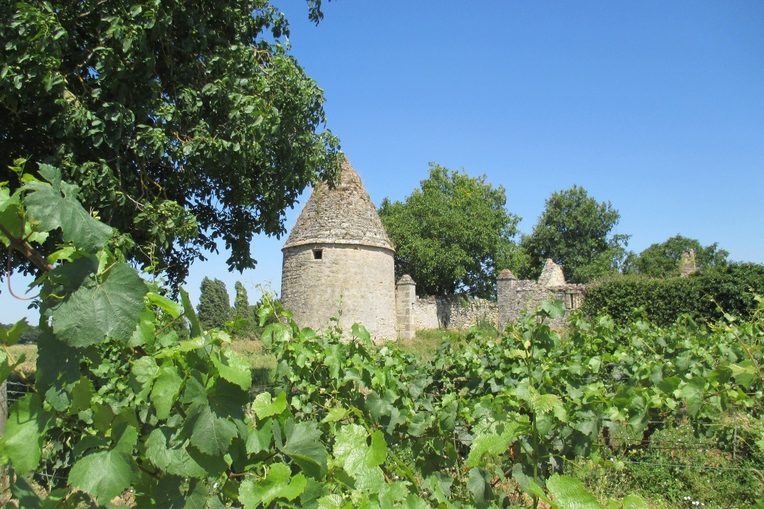 route-des-vins-vignoble-et-patrimoine-du-haut-layon-49