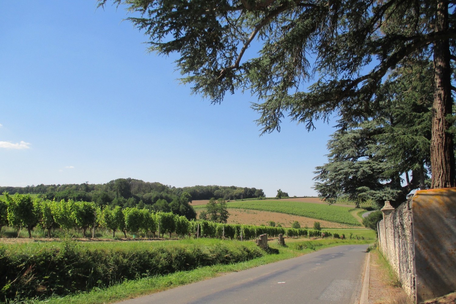 Route Des Vins Vignoble Et Patrimoine Du Haut Layon LYS HAUT LAYON Route Des Vins Vignoble Et Patrimoine Du Haut Layon LYS HAUT LAYON