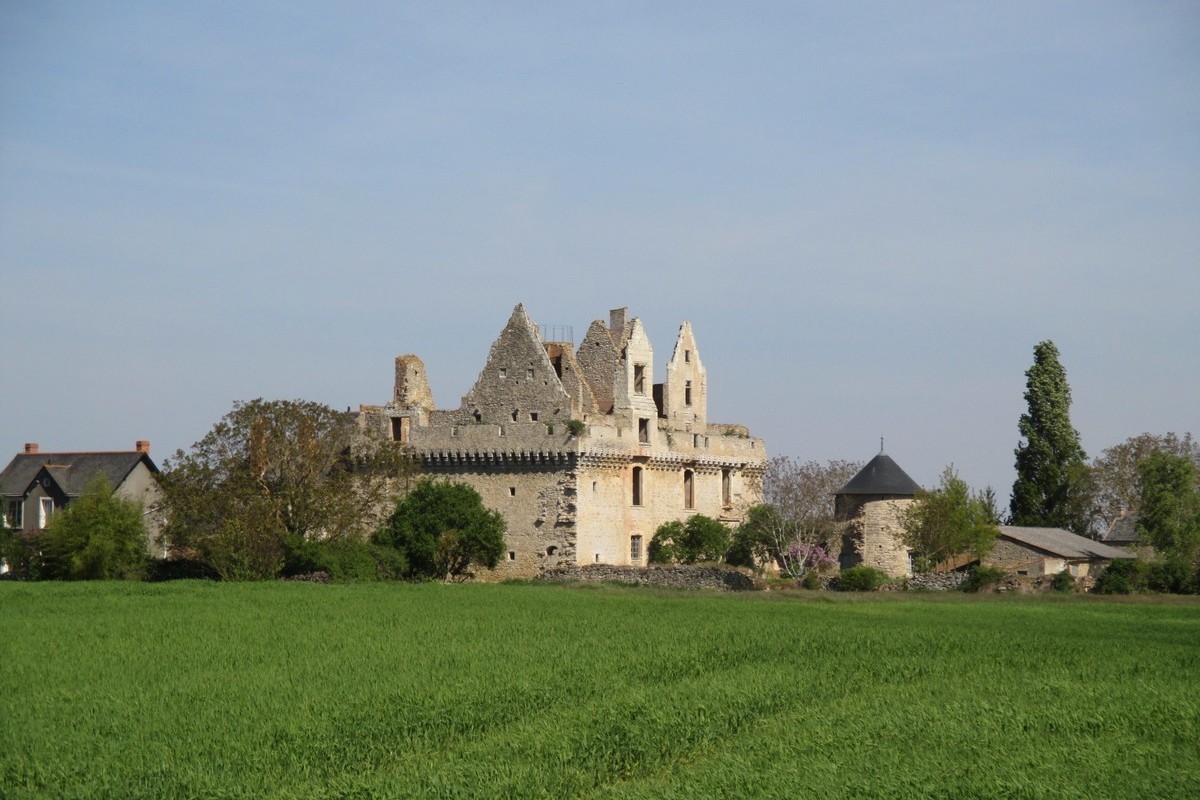 Cholet Tourisme Route des Vins Vignoble et Patrimoine du Haut-Layon