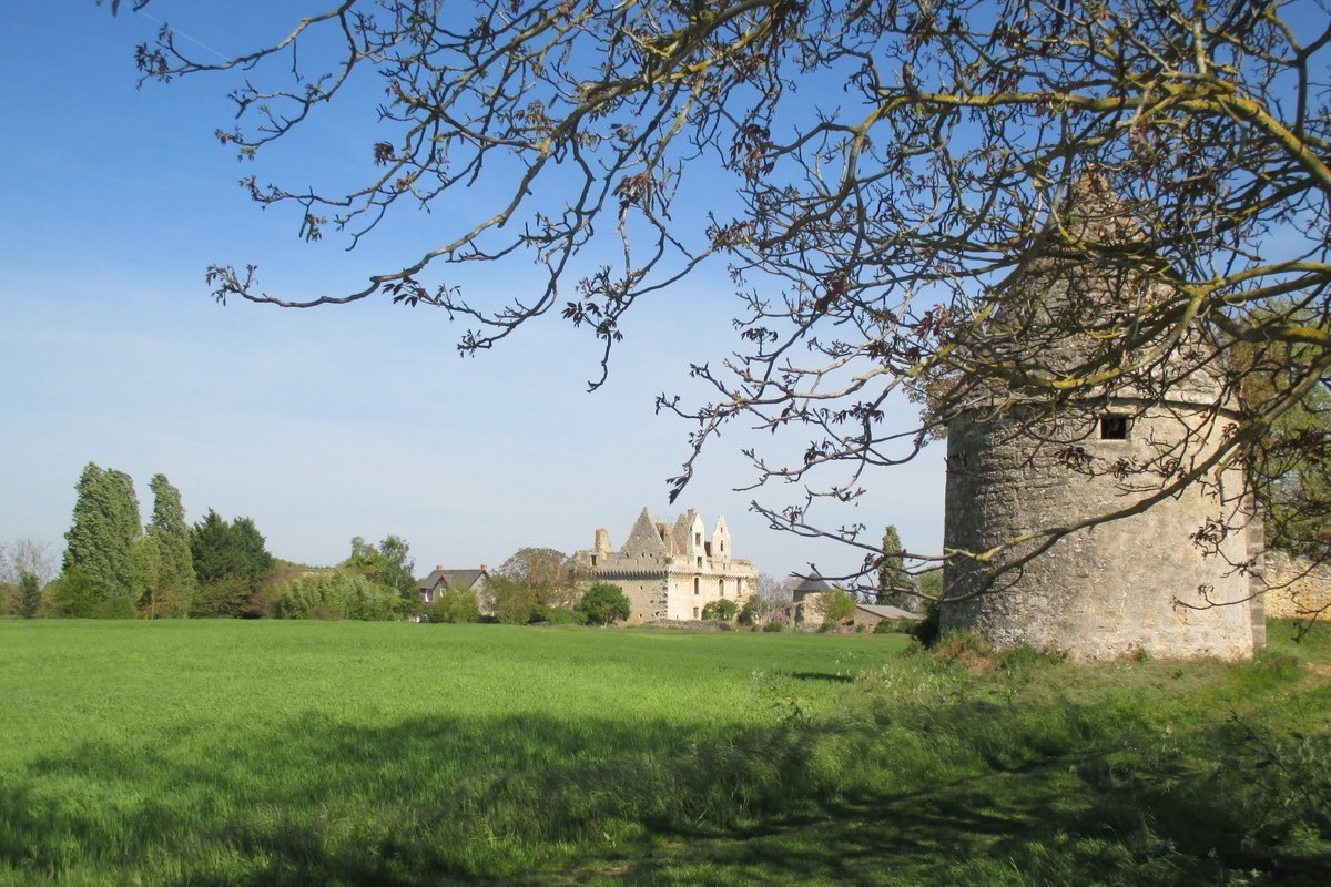 route-des-vins-vignoble-et-patrimoine-du-haut-layon-49-7