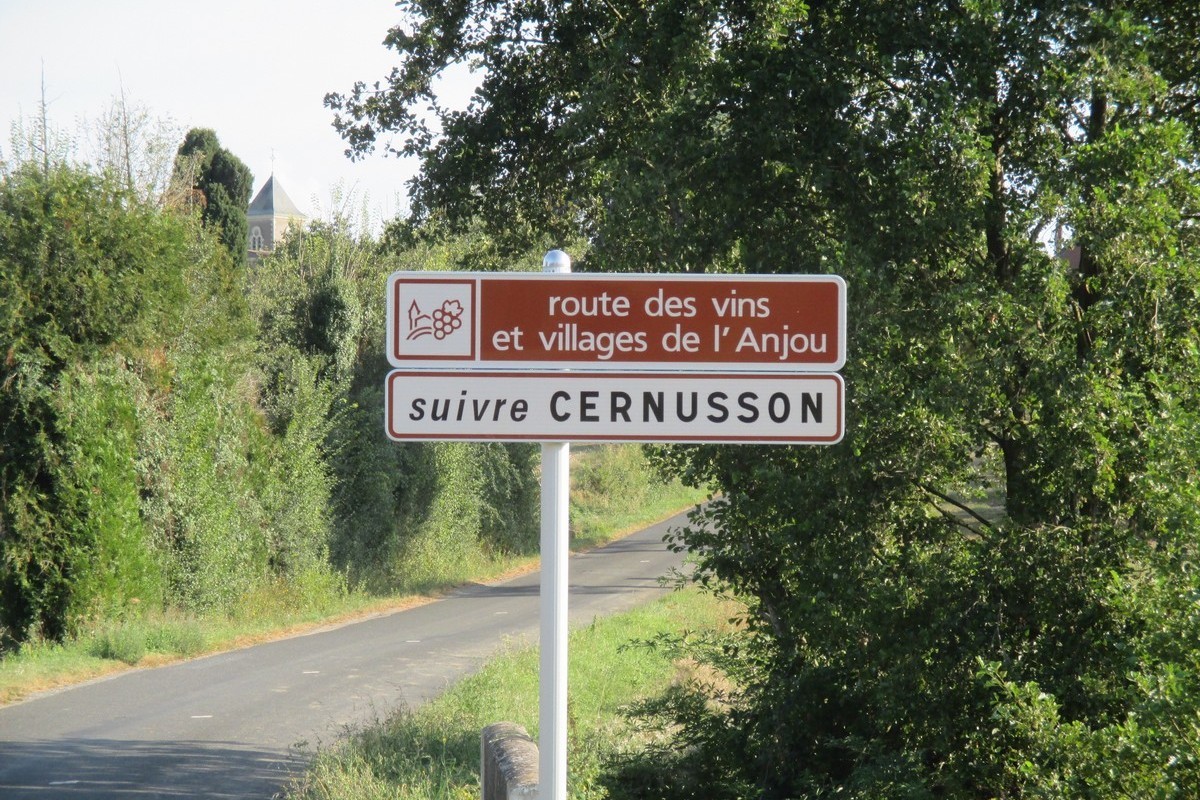 Cholet Tourisme Route des Vins Vignoble et Patrimoine du Haut-Layon
