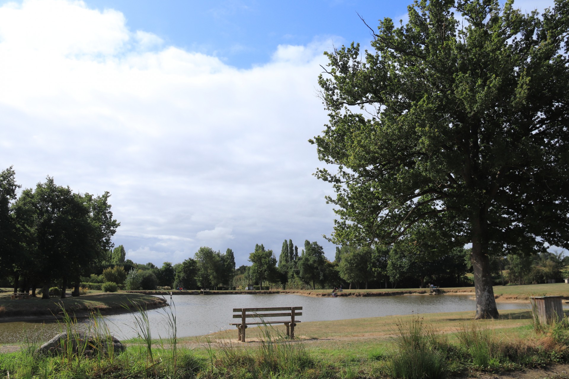 sentier-des-bois-49-2021