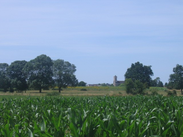 Cholet Tourisme Tancoigné Lys Haut Layon