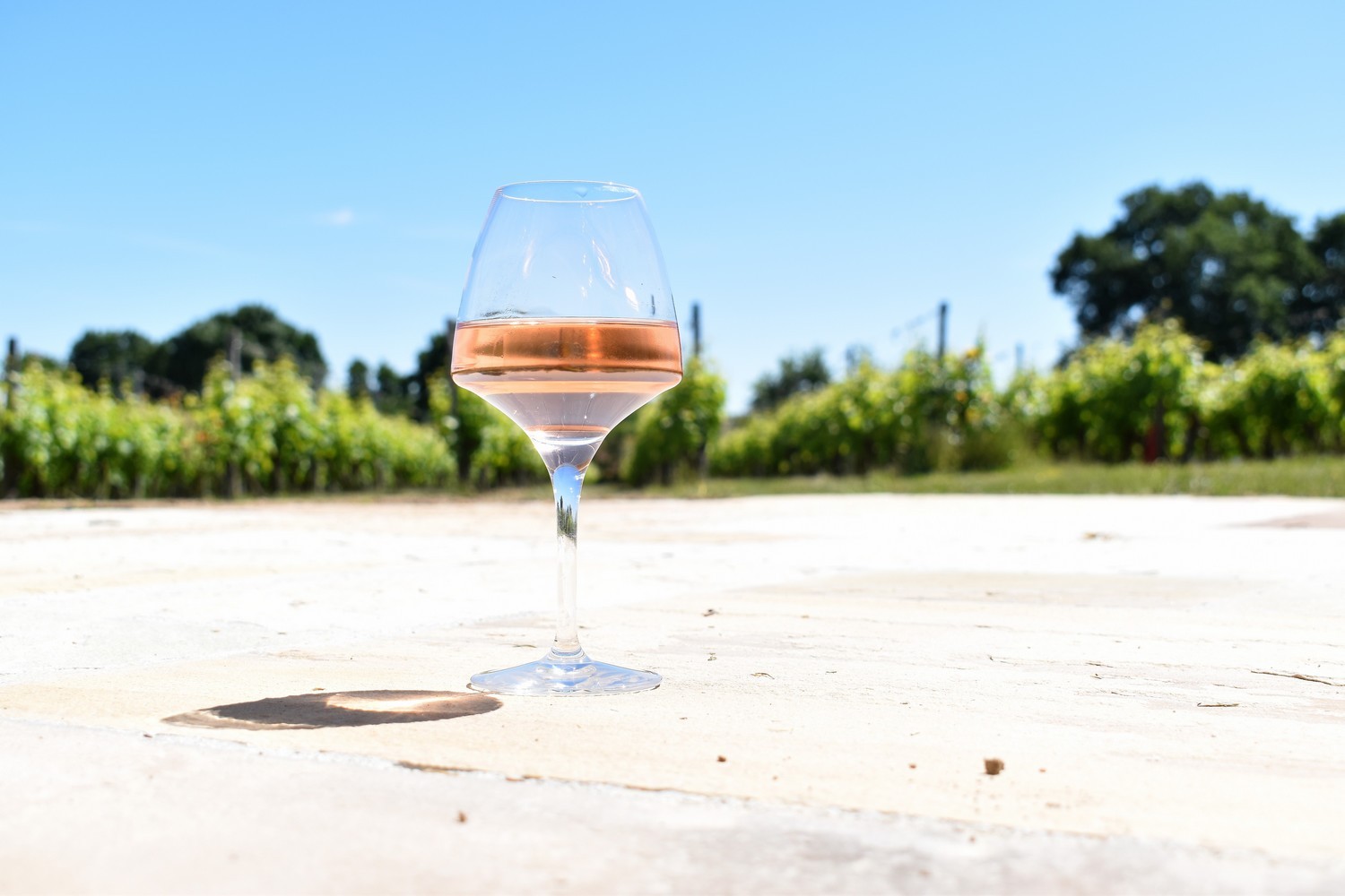 Terrasse Vin Verre Dégustation Rosé Soleil Vigne Accueil