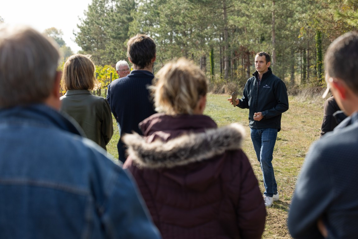 Domaine Viticole Familial Vin Vigne Vignoble Vigneron Dégustation Haut-Layon Anjou