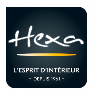 logo-hexa-2020-2827208