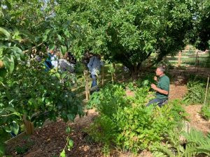 Viste de tous nos jardins - © Philippe BOCHEREAU Les Jardins Kit'Eco Yzernay jardin au naturel et permaculture