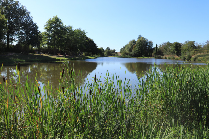 Aire de pique-nique et plan d'eau des Prés Naiteaux à Montilliers - © Catherine FONTENEAU aire-de-baignade-des-pres-naiteaux-montilliers-49