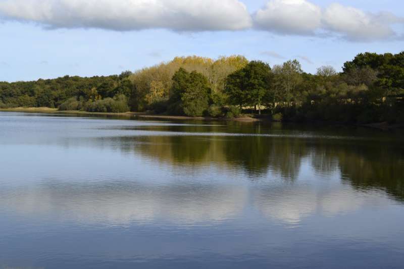 Chole tourisme aire de pique-nique étang de péronne Chanteloup les bois