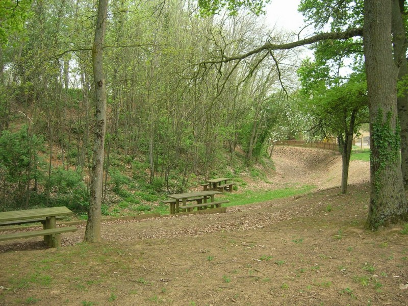 Cholet Tourisme Cernusson Nature Pique-nique Aire Bois