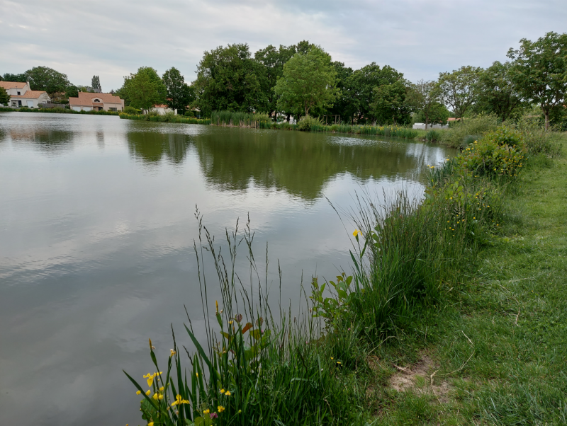 Promenons-nous à Trémentines - © Mairie de Trémentines - Jacqueline Delaunay promenons-nous à Trémentines parc du hameau de l'étang