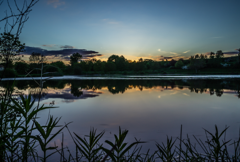 Aire de pique-nique - Le Parc des Hameaux de l'Etang