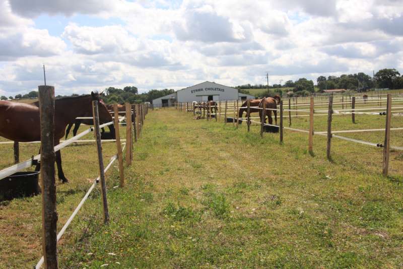L'Etrier Choletais - © Franck DUSAUTOIS centre équestre cholet l'etrier choletais