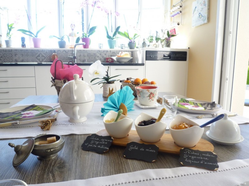 Chambres d'Hôtes La Maison des Orchidées Cholet 49 - © Bureau Cholet Tourisme Chambres d'Hôtes La Maison des Orchidées Cholet 49