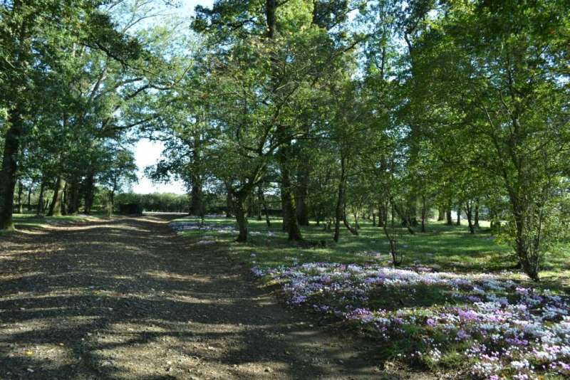 Cholet tourisme lieux de visites Colbert Château du Bois Saint Louis Maulévrier