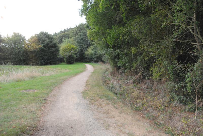 Chemin le long du bois de la Cure - Le Puy Saint Bonnet - © Bernard Gaboriau Chemin le long du bois de la Cure - Le Puy Saint Bonnet