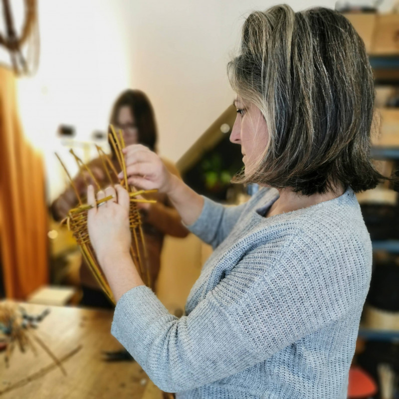 concentration-2854713