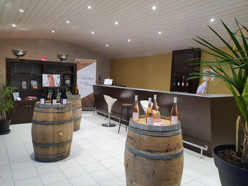 Domaine Viticole Vin Vin Vignoble Vendange Dégustation Gatines Tigné