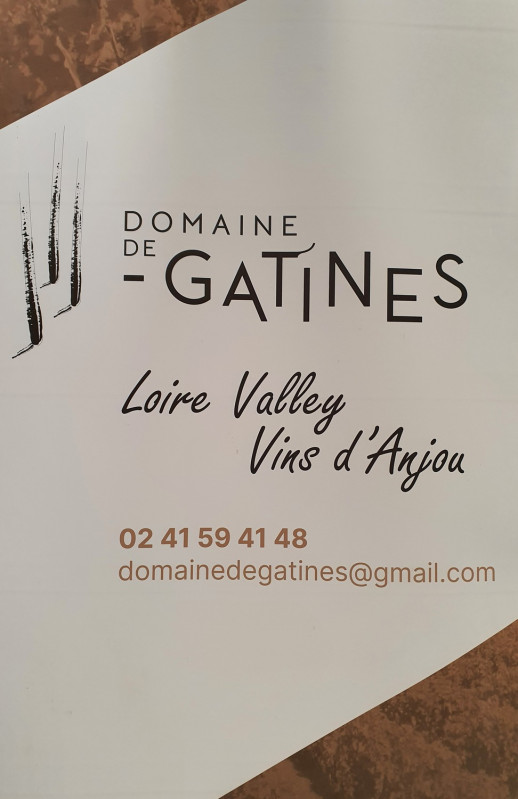 Domaine Viticole Vin Vin Vignoble Vendange Dégustation Gatines Tigné