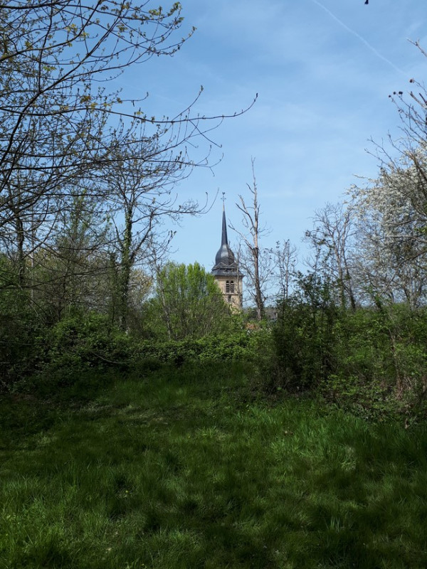 eglise-cernusson-2019-49-c-catherine-fonteneau-copier-2852428