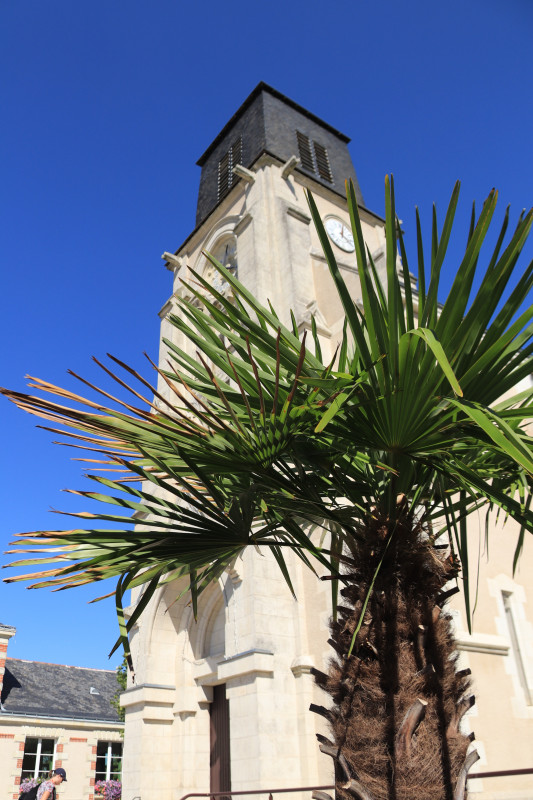 eglise-montilliers-2019-49-c-catherine-fonteneau-1-2852318