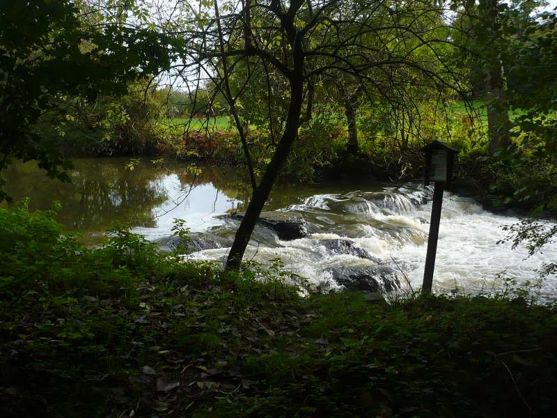 Le Bouchot, La Romagne Cholet tourisme nature découvrir randonnée Le Bouchot La Romagne La Séguinière bords de La Moine