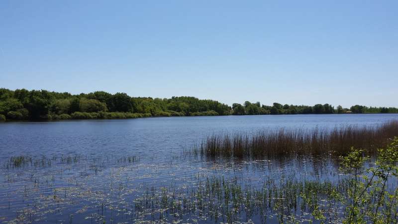 Cholet tourisme lieux de visite nature péronne étang massif forestier de Nuaillé Chanteloup les Bois espace naturel randonnée pêche