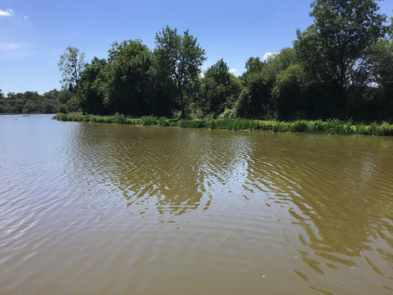 etang-des-bousseli-res-coron-la-plaine-2855334 etang-des-bousseli-res-coron-la-plaine-2855334