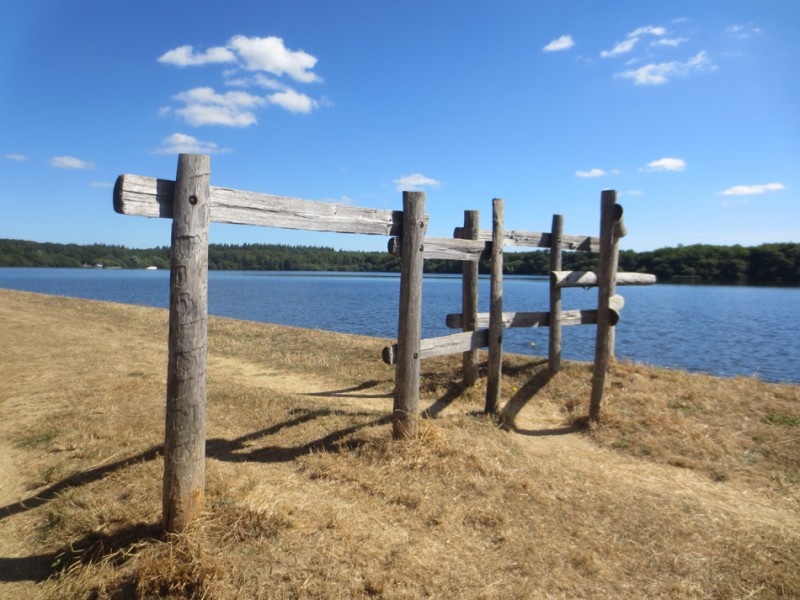 Etang des Noues, CHOLET - © Office de Tourisme du Choletais Cholet tourisme lieux de visites espace naturel Etang des Noues balade forêt
