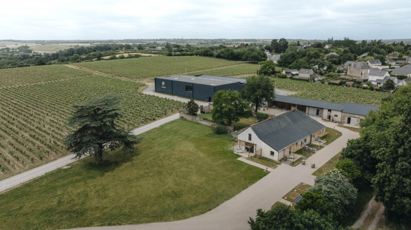 gite-prince-lueurs-de-la-vigne-saintmelainesuraubance-49-arthur-aumond-1-2855026