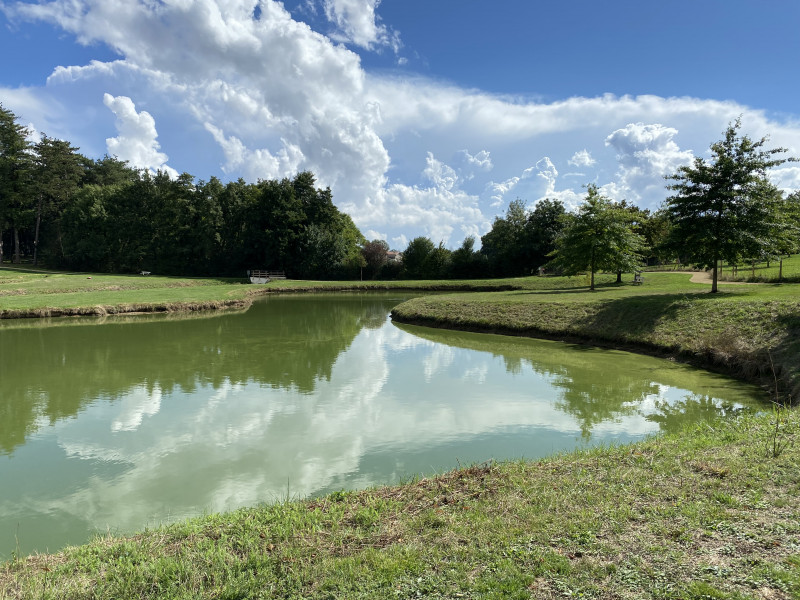 aire-de-pique-nique-coulee-des-douves-sous-bois-vezins-49