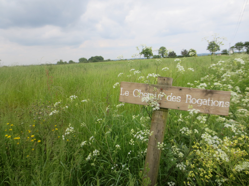 la-romagne-2016-49-c-catherine-fonteneau-4-2852383