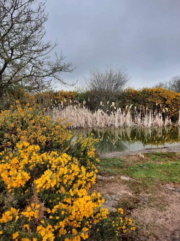 lande-du-chene-rond-le-puy-st-bonnet-2022-49-c-catherine-fonteneau-1-2852013 lande-du-chene-rond-le-puy-st-bonnet-2022-49-c-catherine-fonteneau-1-2852013