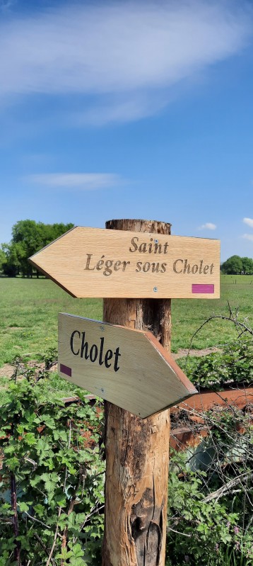 Cholet tourisme  randonnée sentie liaison entre Saint-Léger-Sous-Cholet et Cholet