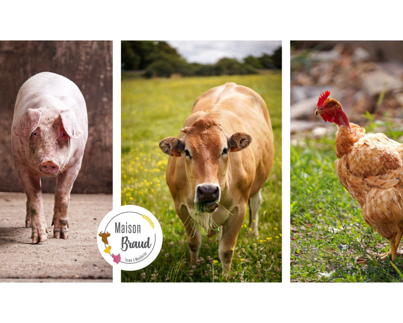 Maison Braud - © Maison Braud Maison Braud maulévrier