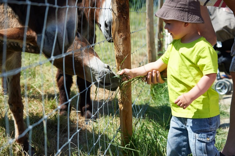Cholet tourisme parc du menhir nature famille enfants